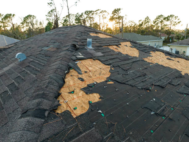 Trusted South Wallins, KY Roofing Services Experts